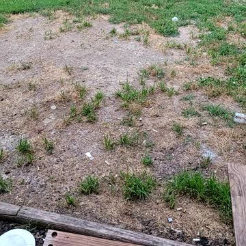 This is a test testing test