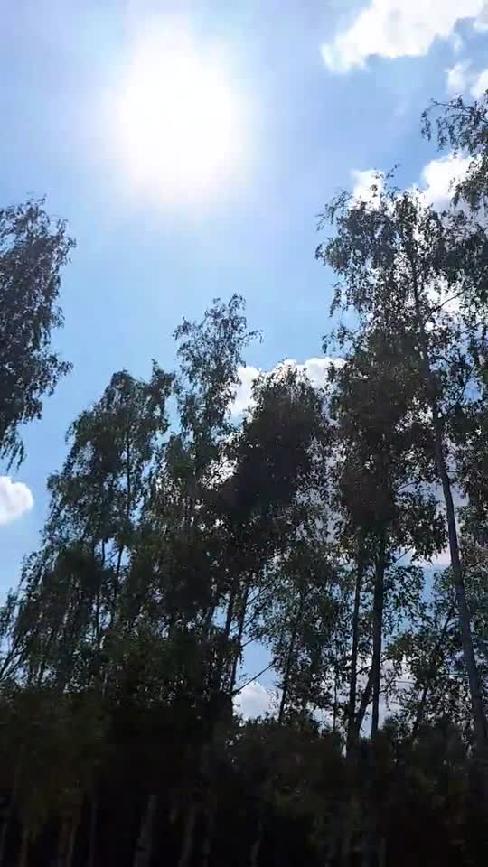 Himmel in Berlin am 31.07.2022 um 12:50 Uhr