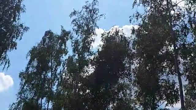 Himmel in Berlin am 31.07.2022 um 12:50 Uhr