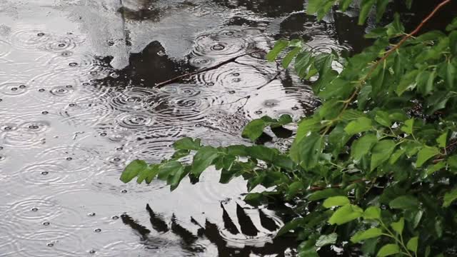 raining high quality video