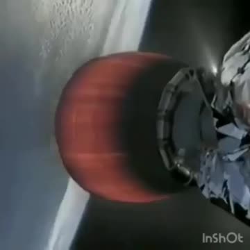 Mouse hitches a ride on Rocket 😹🐀🐭🪤 AAC)