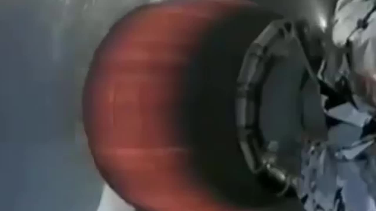 Mouse hitches a ride on Rocket 😹🐀🐭🪤 AAC)