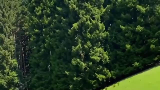 Beautiful Nature