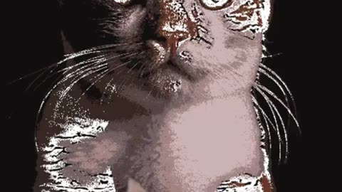 Quick and Cute Doodling Cats in Under 10 Minutes