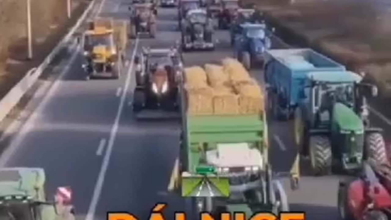 6698771