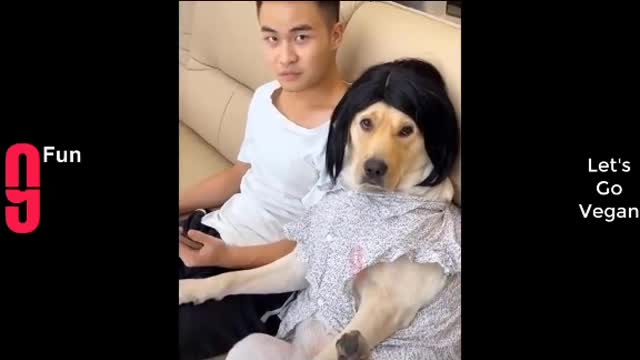 Funny video🤣🤣🤣