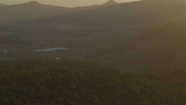 Aerial shot of a large forest covering the landscape at sunset