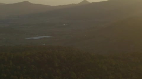 Aerial shot of a large forest covering the landscape at sunset