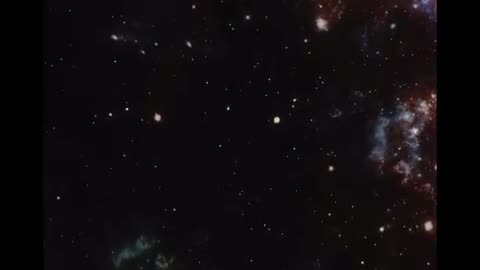 What do we have here?