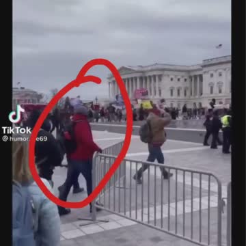 Cops wave masses into capitol