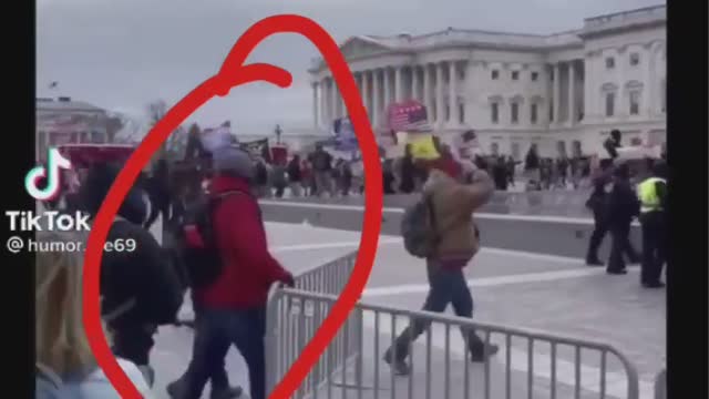 Cops wave masses into capitol