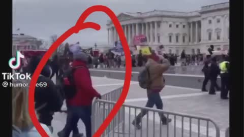 Cops wave masses into capitol