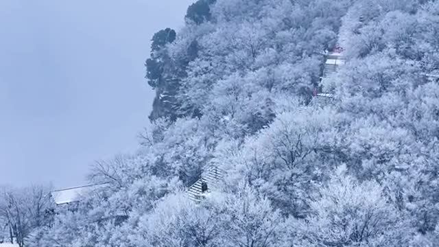 watch the snow together