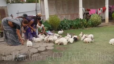 Cute Animal Rabbits as Pets Video | Rabbit Farming in India | Indian Rabbit | ढेर सारे खरगोश