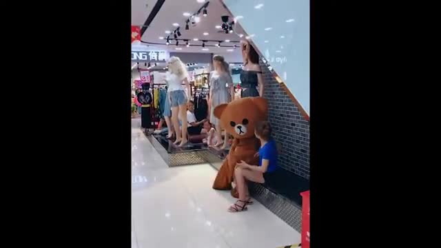 Teddy bear funny videos . Tik tok video