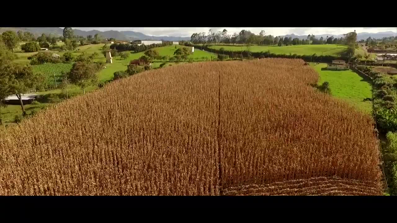 SUSTAINABLE REAL ESTATE IN COLOMBIA