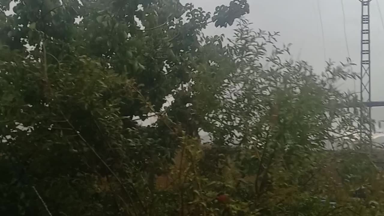 Rainy day