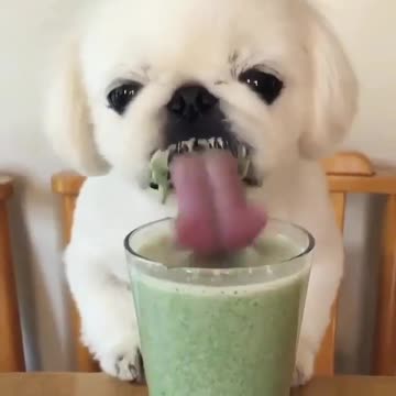 Yamm yamiii I think I will take 5 hrs to finish this