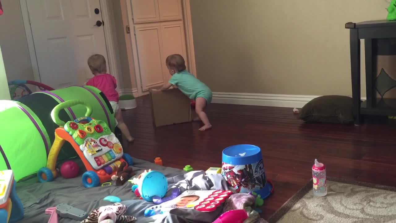 Twin babies compete in adorable box race