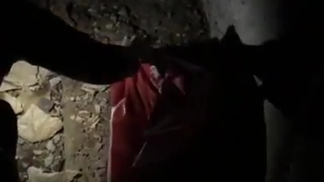 Woman rescues abandoned cat