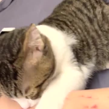 How am I gonna explain this to my wife?