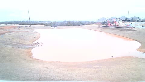 The Pond