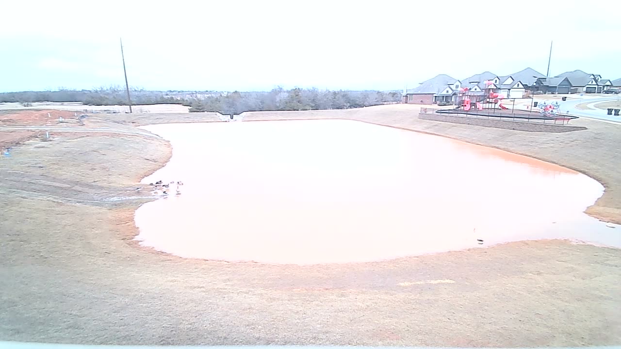 The Pond