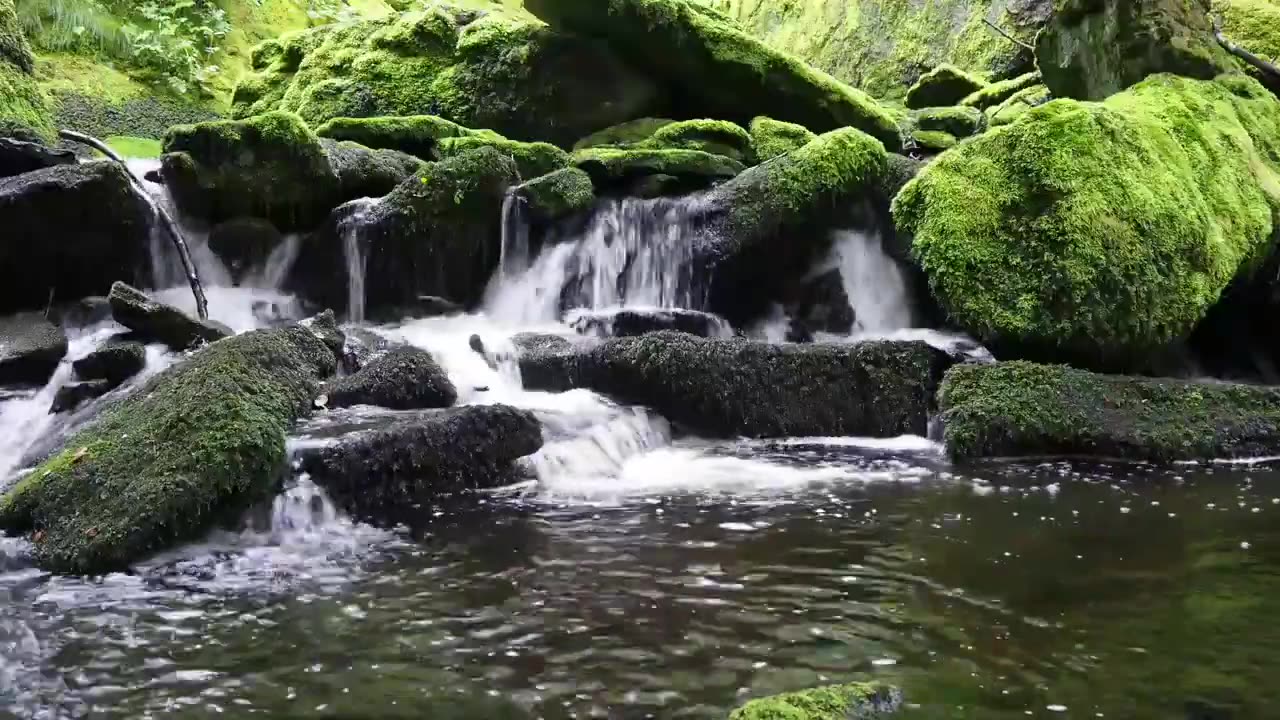 Nature sounds, the sound of running water in the river for sleep therapy, lullabies, beautiful sounds of wild birds