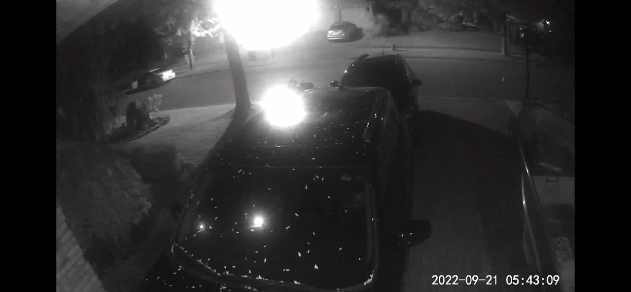 Sunnyside Crescent Car Thief III