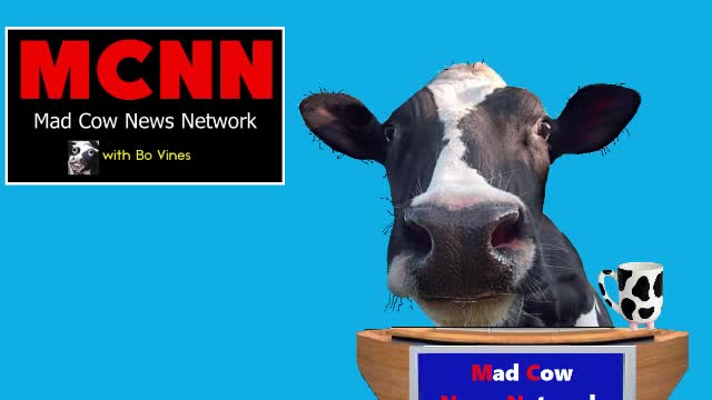 MCNN Test Intro