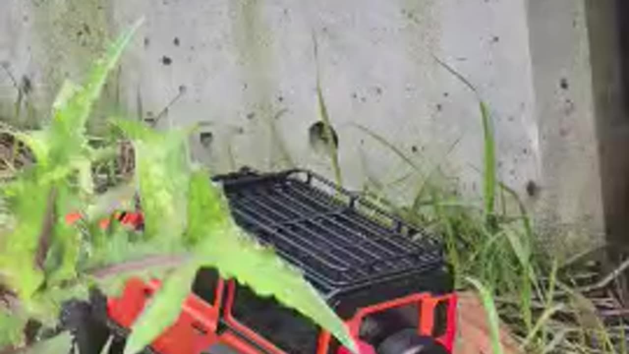 RC Crawler