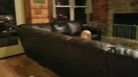 Funny Baby Video Hilariou