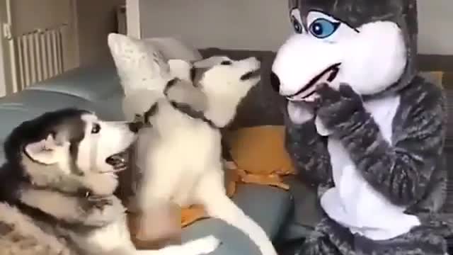 Rate this video from 1-10. 😊 Look at their reaction. 😂😝