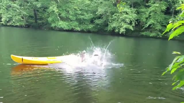 FULL OF FUN ,Nature's beauty THINGS must watch this video ( FUNNY)