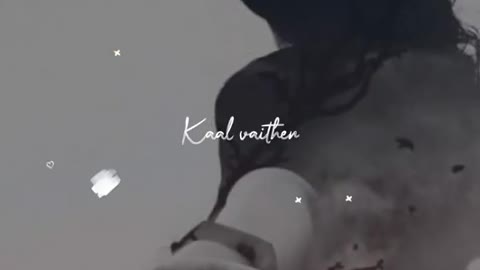 best nice video