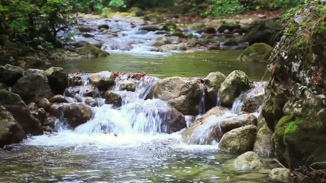 Águas lentas de rio-planeta terra incrível cenário natural