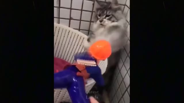 Funny animals [] Try not to laugh compilation 28