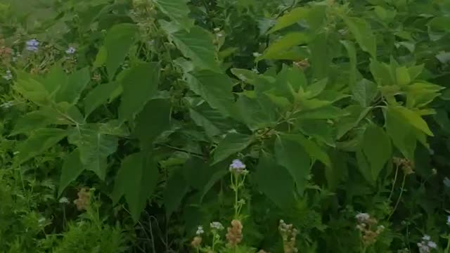 God is a God of action