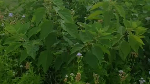 God is a God of action