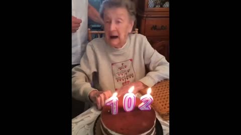 Absolutely arbitrary amusing video do whatever it takes not to chuckle