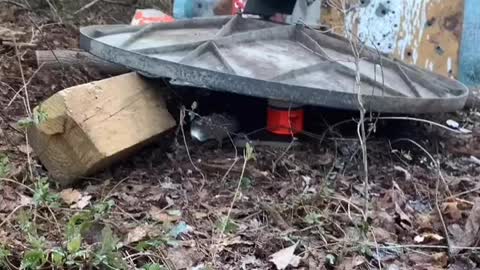 Guns and Tannerite