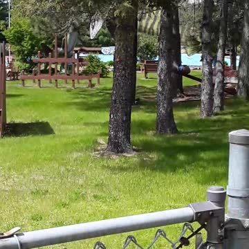 "The largest Muskie" like any fish story, just keeps getting bigger. LOL