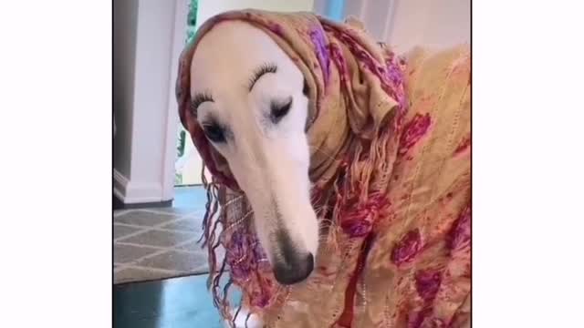 READY FOR A NIGHT OUT!