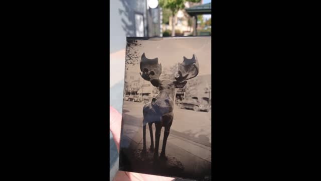 Mudgy Moose and Millie Mouse Tintype