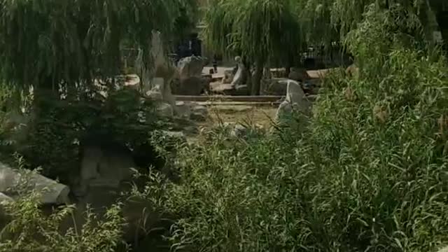 Beautiful park, come and play