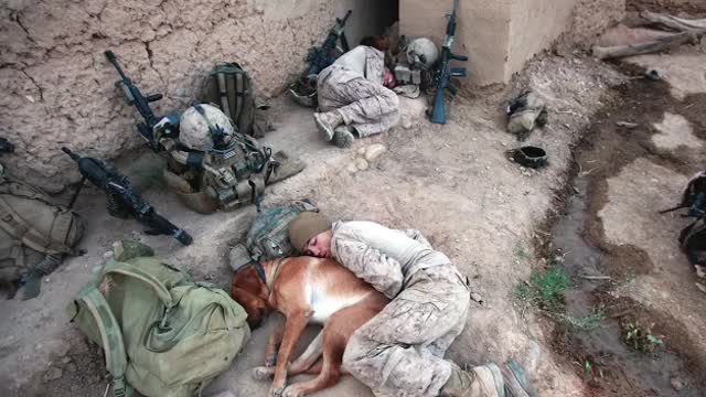 Freedom is never free