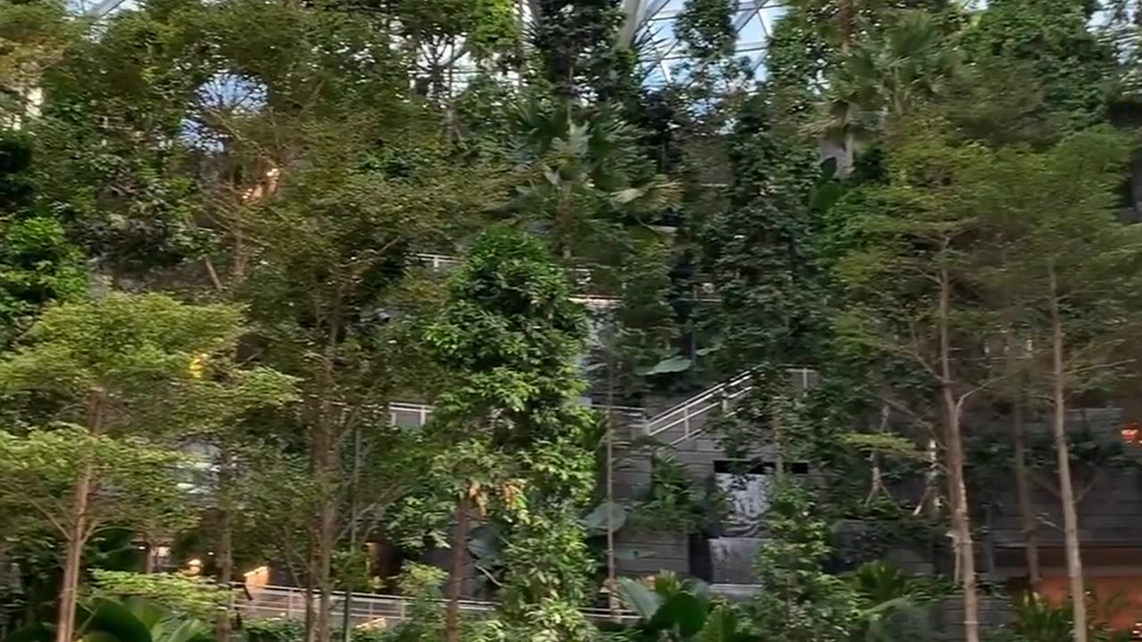 Singapore water falling