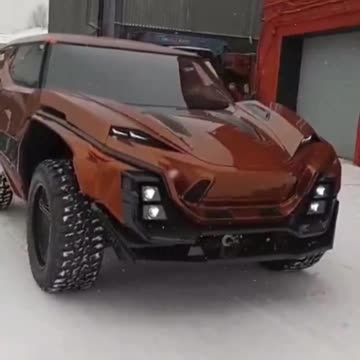 Russian garage enthusiasts create their own version of the Cybertruck, naming it 'Bizula'