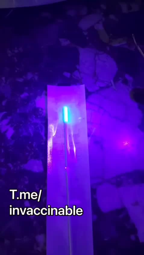 20220226_[펌] [Hohn F. Kennedy Jr] PCR 테스트 위험 - 루시퍼라제가 투여된 PCR 테스트