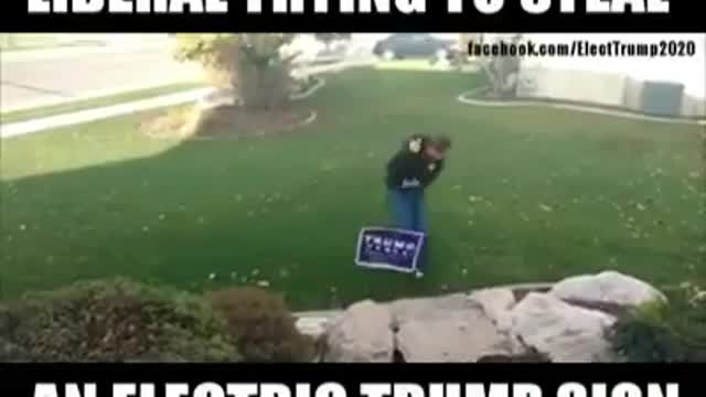 Leftist trying to steal a trump yard sign